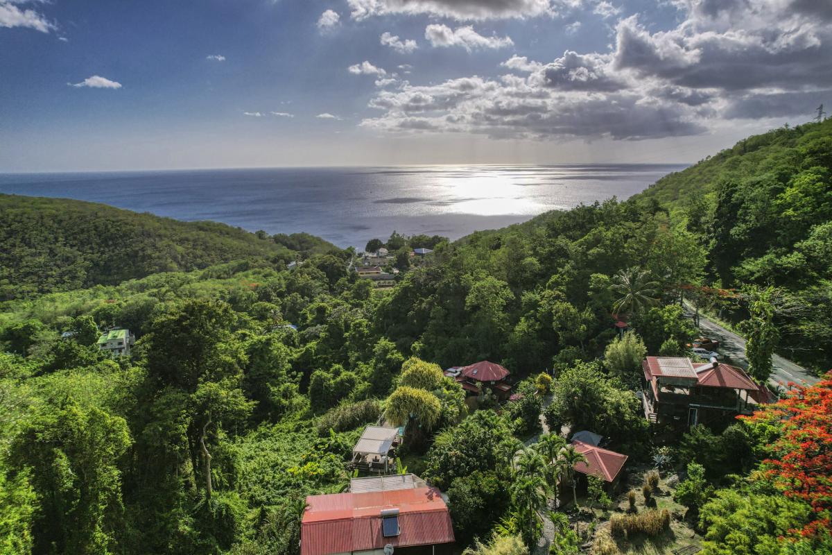 Location Domaine du Rocher Noir Pointe Noire Guadeloupe-le domaine-72